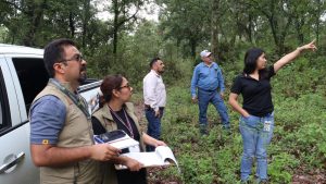 Proam verifica reparación de daños ambientales en Uruapan y Morelia