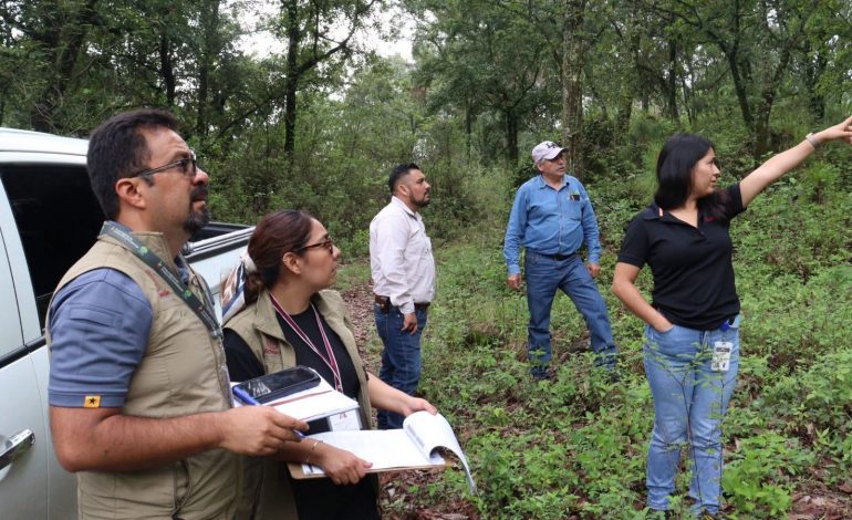 Proam verifica reparación de daños ambientales en Uruapan y Morelia
