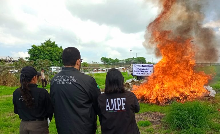  INCINERA FGR MÁS DE MEDIA TONELADA DE DROGA EN MICHOACÁN