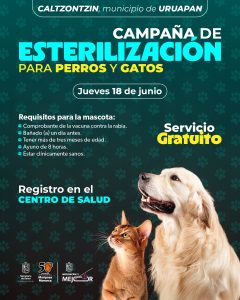 Jornadas de esterilización gratuitas para perros y gatos en Caltzontzin y Tomendán: SSM