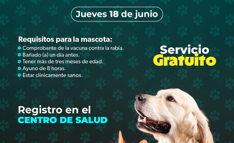 Jornadas de esterilización gratuitas para perros y gatos en Caltzontzin y Tomendán: SSM