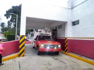 Menor de Siete Años Atendido por Mordedura de Perro en Zitácuaro