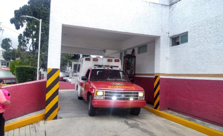 Menor de Siete Años Atendido por Mordedura de Perro en Zitácuaro