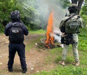 Localizados 16 costales de marihuana en Tuzantla: SSP