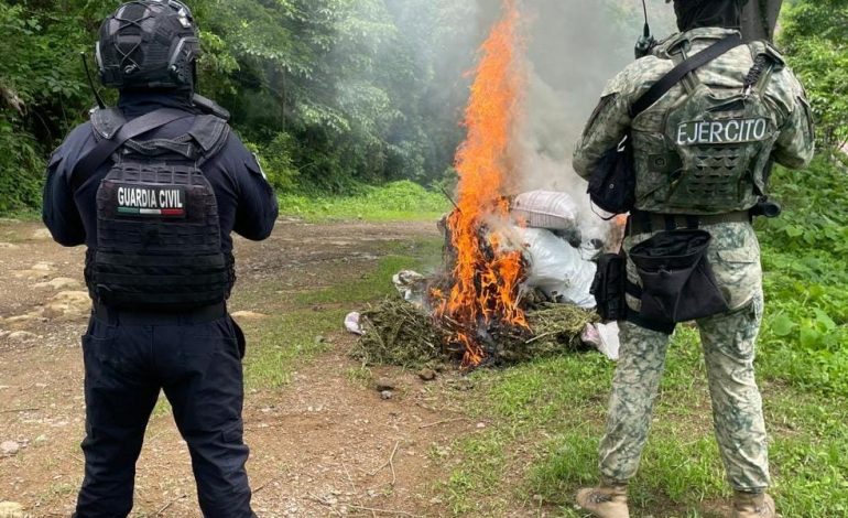 Localizados 16 costales de marihuana en Tuzantla: SSP