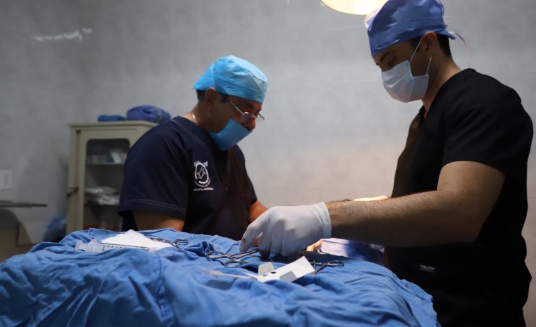 Vasectomías sin bisturí gratuitas en Morelia: SSM
