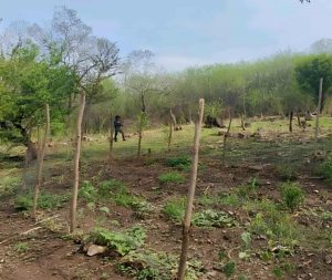 Un hombre fue encontrado sin vida y con heridas de proyectil de arma de fuego