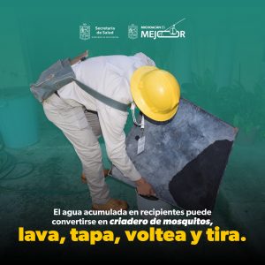 Ante temporada de lluvias, la SSM te dice cómo protegerte del dengue