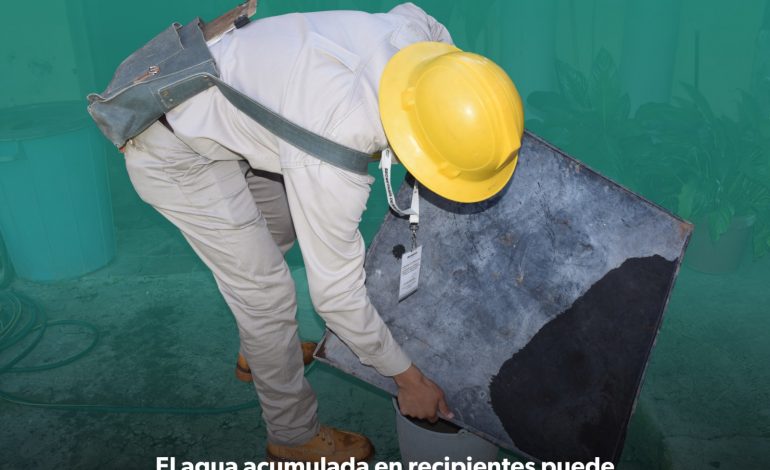 Ante temporada de lluvias, la SSM te dice cómo protegerte del dengue