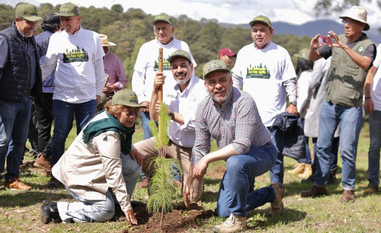 En julio inicia dispersión aérea de 200 mil semillas para reforestar: Bedolla