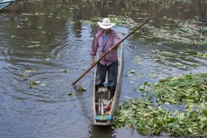 Avanza recuperación del canal de Erongarícuaro con trabajo de manos michoacanas.<br>