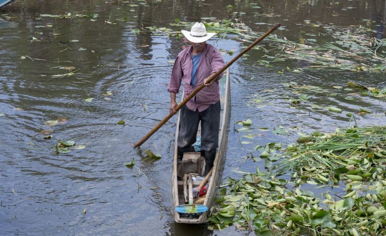 Avanza recuperación del canal de Erongarícuaro con trabajo de manos michoacanas.