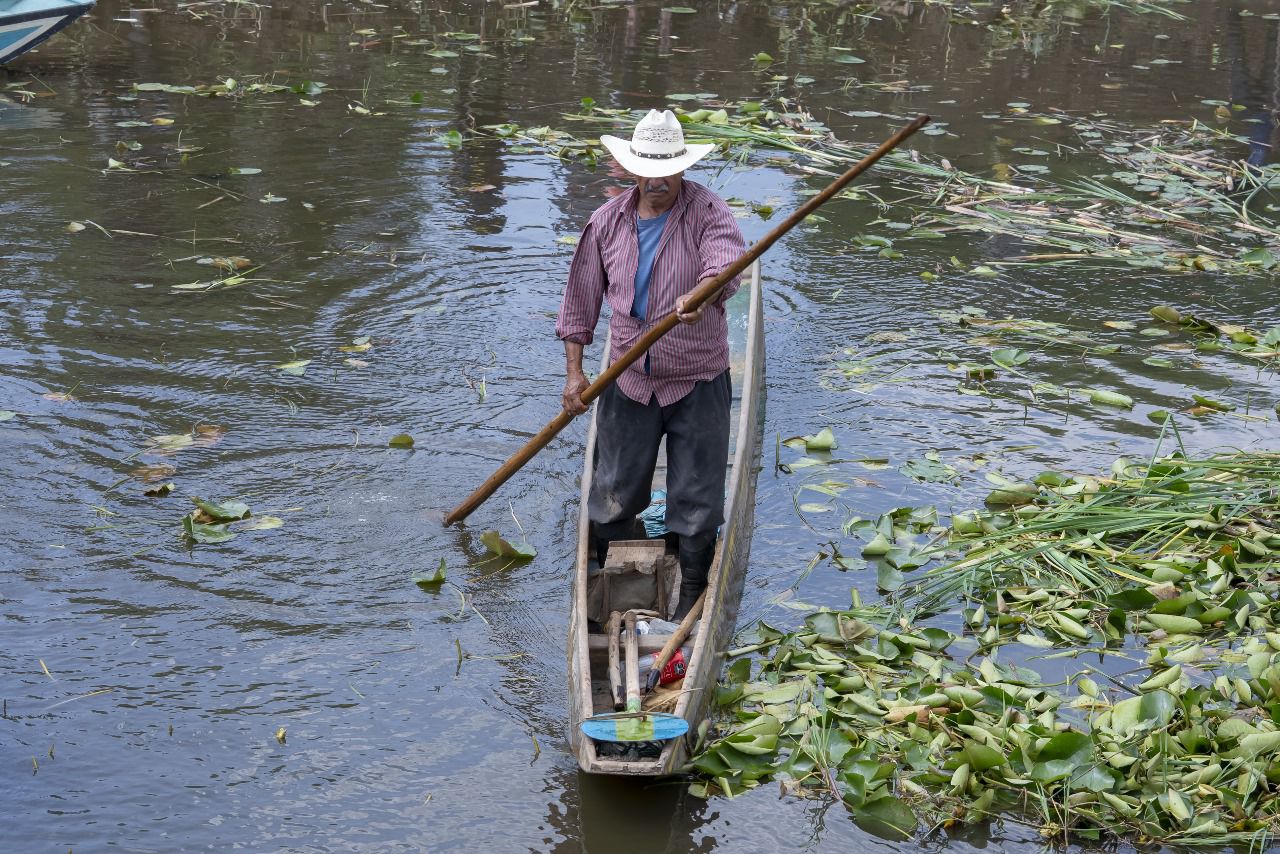 Avanza recuperación del canal de Erongarícuaro con trabajo de manos michoacanas.