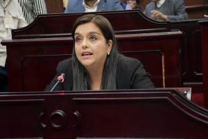 No permitiremos que se utilice la paridad de género como herramienta política: diputada Tere Herrera <br>
