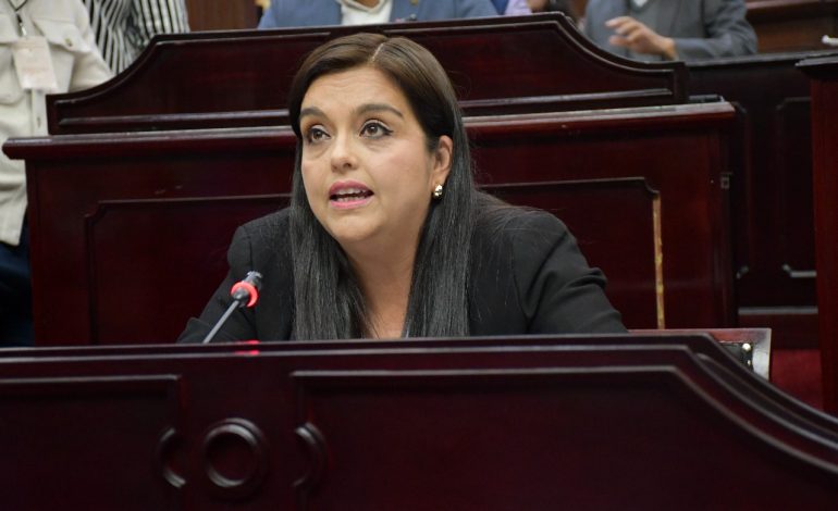 No permitiremos que se utilice la paridad de género como herramienta política: diputada Tere Herrera 