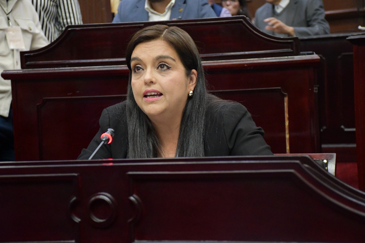 No permitiremos que se utilice la paridad de género como herramienta política: diputada Tere Herrera 