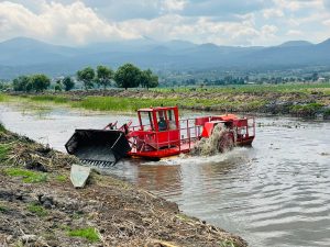 Rescate del canal de Erongarícuaro revitaliza ecosistema y economía local: Compesca.<br>