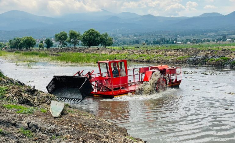 Rescate del canal de Erongarícuaro revitaliza ecosistema y economía local: Compesca.