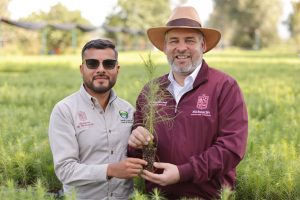 Viveros del estado con producción histórica de plantas para reforestar: Bedolla.<br>