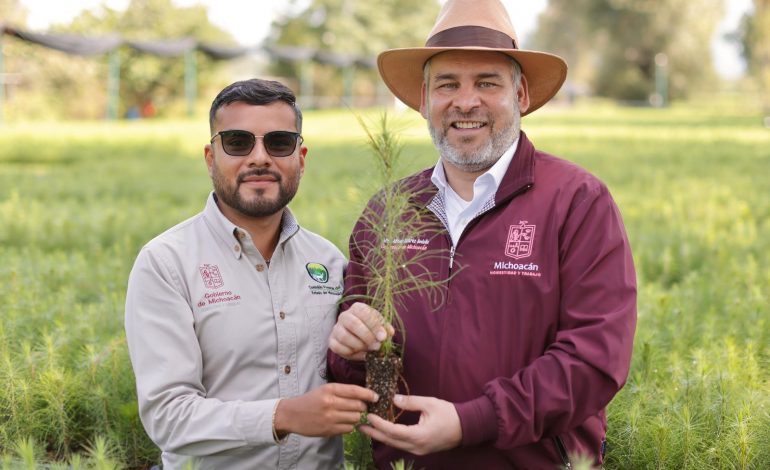 Viveros del estado con producción histórica de plantas para reforestar: Bedolla.