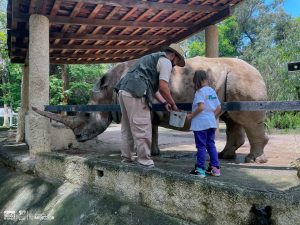 Disfruta un verano de aventura en el Zoológico de Morelia.<br>