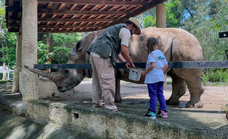 Disfruta un verano de aventura en el Zoológico de Morelia.