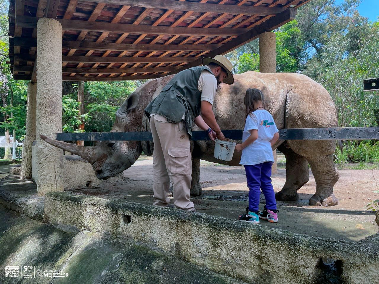 Disfruta un verano de aventura en el Zoológico de Morelia.