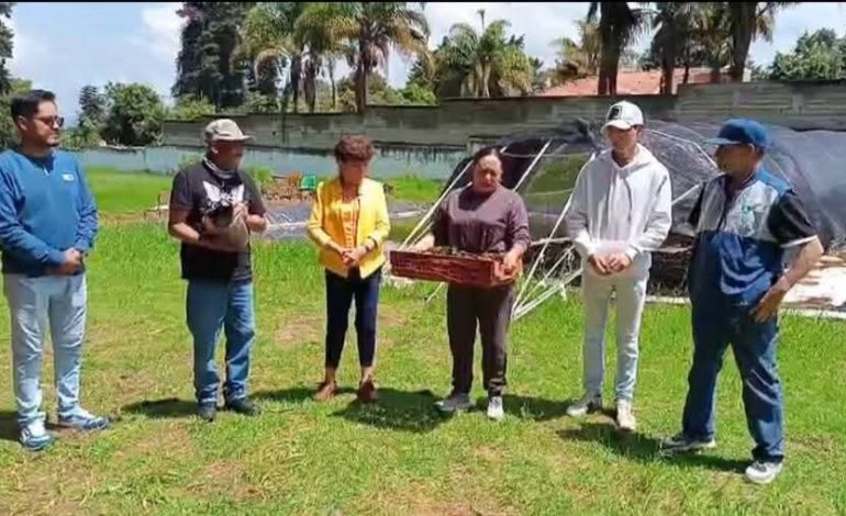 Comunidad escolar de Conalep Zitácuaro, fortalece cultura ecológica con entrega de árboles en Ocurio