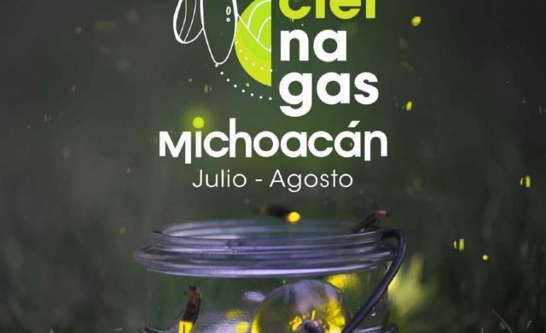 Disfruta la magia de las luciérnagas este verano en Michoacán: Sectur