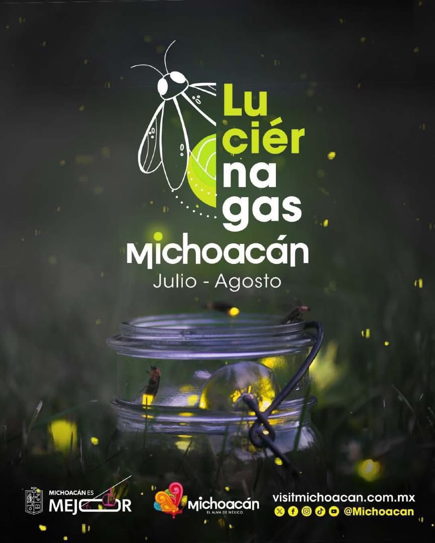 Disfruta la magia de las luciérnagas este verano en Michoacán: Sectur