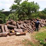 INTEGRA FGR INVESTIGACIÓN CONTRA UNA PERSONA POR UN DELITO CONTRA LA BIODIVERSIDAD EN TANGANCÍCUARO, MICHOACÁN