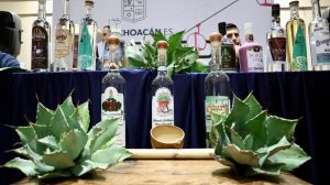 Sader llama a mezcaleros a regularizar producción