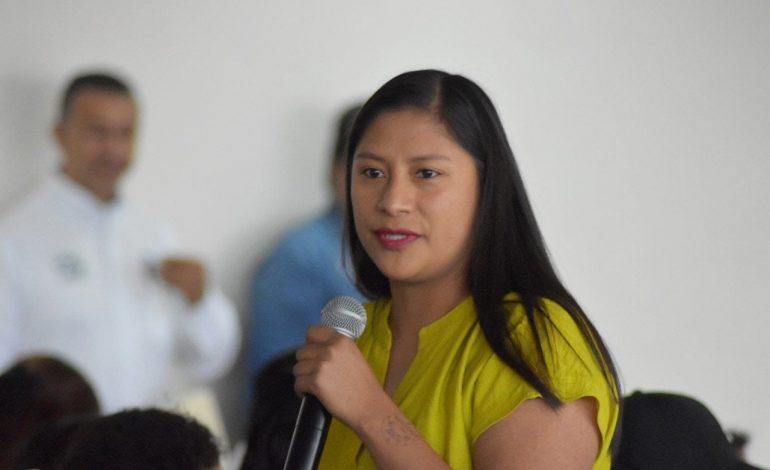 Estamos en solidaridad con el pueblo de Cherán: Celeste Ascencio
