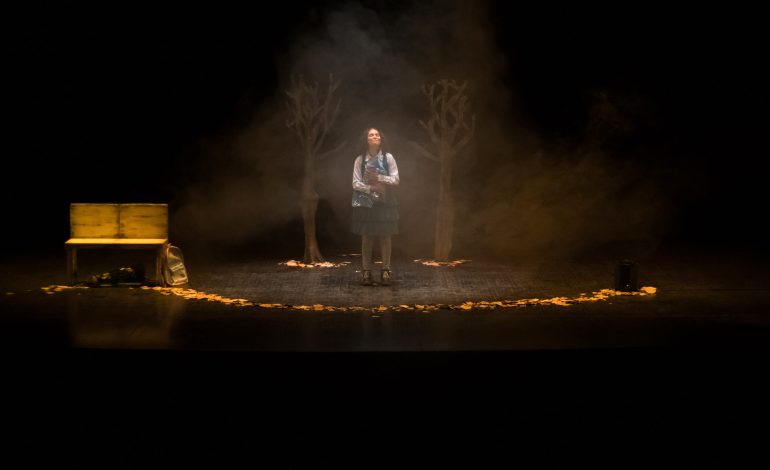 Inicia en Morelia el Festival de Monólogos con una obra sobre el duelo y la esperanza
