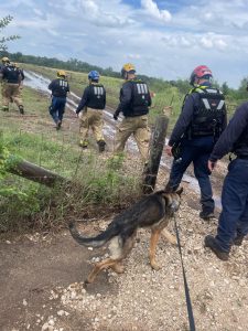 Agentes de la Unidad Canina de la FGE Michoacán participan en labores de búsqueda de personas desaparecidas en Texas