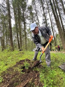 ¡Vamos a reforestar! Únete a la campaña para plantar 10 millones de árboles: Secma