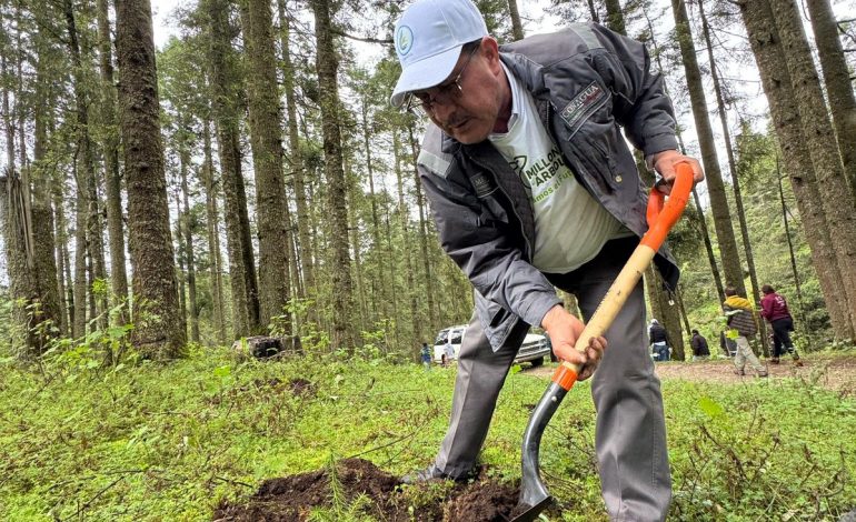 ¡Vamos a reforestar! Únete a la campaña para plantar 10 millones de árboles: Secma