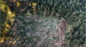 INTEGRA FGR INVESTIGACIÓN POR UN DELITO COMETIDO CONTRA LA BIODIVERSIDAD EN CHARO, MICHOACÁN