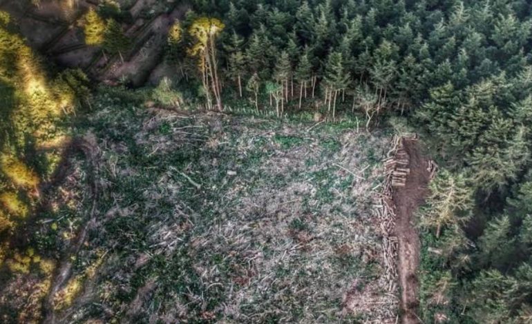 INTEGRA FGR INVESTIGACIÓN POR UN DELITO COMETIDO CONTRA LA BIODIVERSIDAD EN CHARO, MICHOACÁN