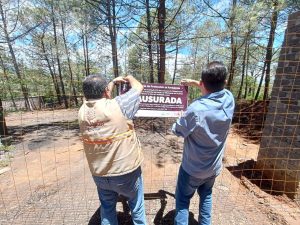 Atiende Proam más de 60 denuncias ambientales en Michoacán