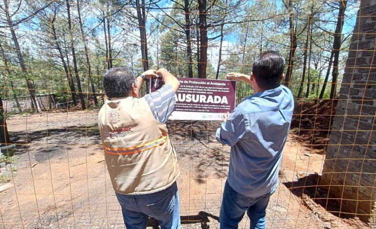 Atiende Proam más de 60 denuncias ambientales en Michoacán