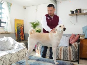 Respalda “Hermano Animal” a Torres Piña como próximo fiscal de Michoacán