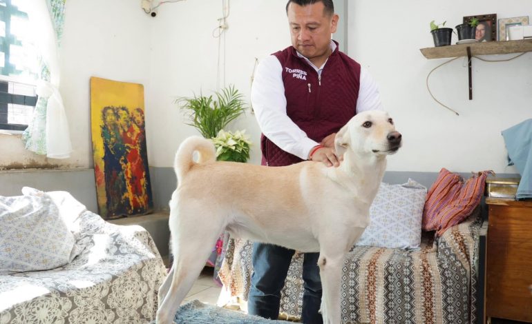 Respalda “Hermano Animal” a Torres Piña como próximo fiscal de Michoacán