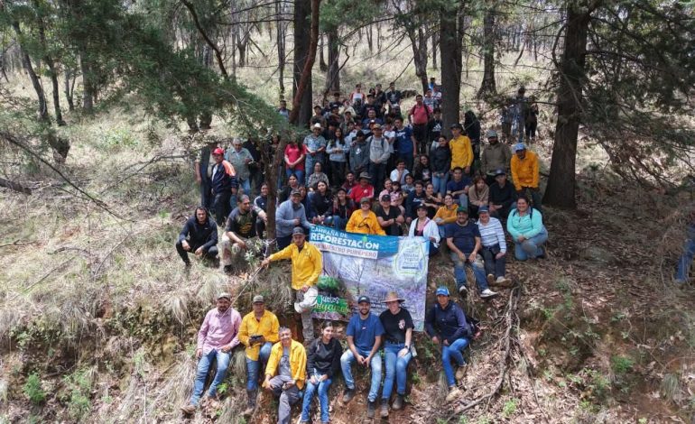 Comunidad del Cecytem Purépero reforesta con más de 3 mil árboles