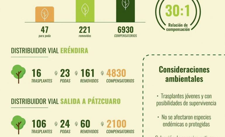 Gobierno de Michoacán compensa obras viales con casi 7 mil árboles