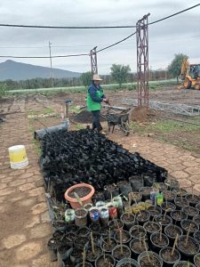 Gobierno de Morelia apuesta por el fortalecimiento ambiental, con nuevo vivero municipal