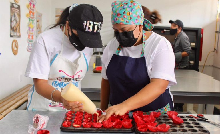 ¡Capacítate para el trabajo! Icatmi abre inscripciones para más de 800 cursos