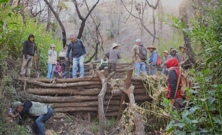 Así prepara la Cofom los suelos dañados por incendios antes de reforestar