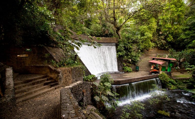 Uruapan te espera, descubre la belleza natural de su parque nacional: Sectur