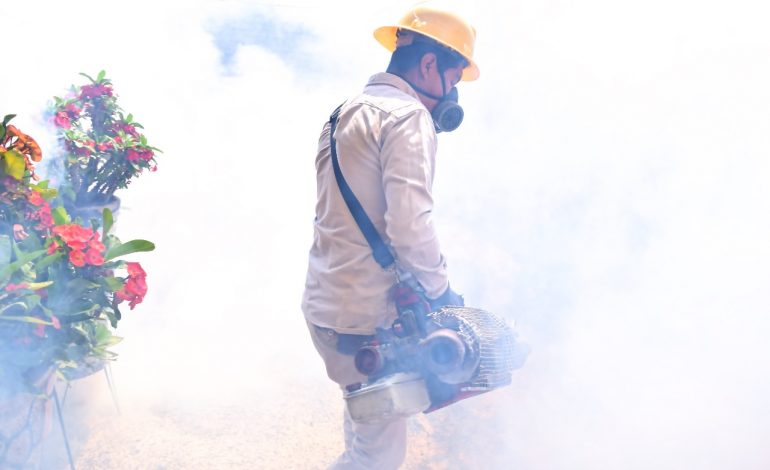 Casos de dengue disminuyen un 76 % por acciones de prevención: SSM